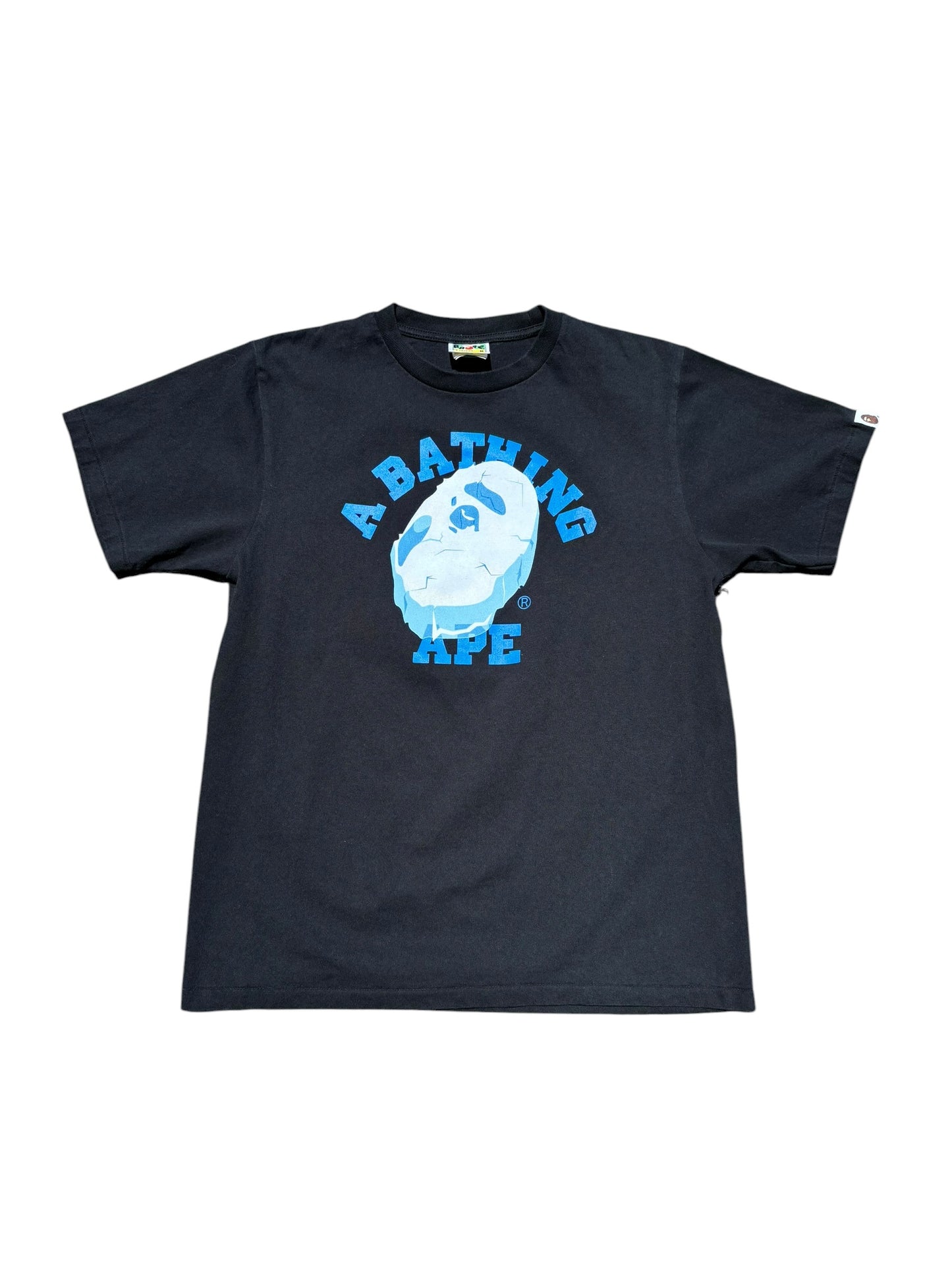 Bape Ice Logo Tee