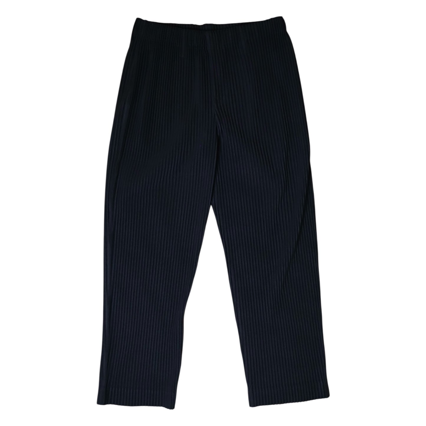 Issey Miyake Pleated Pants