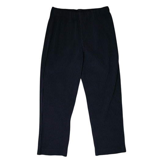 Issey Miyake Pleated Pants