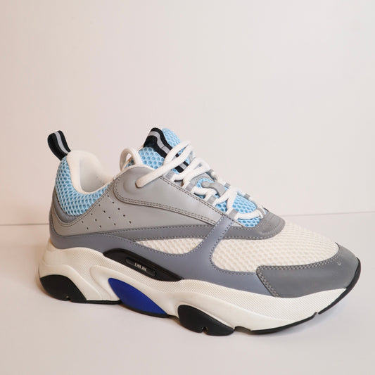Dior B22 Sneaker White/Silver