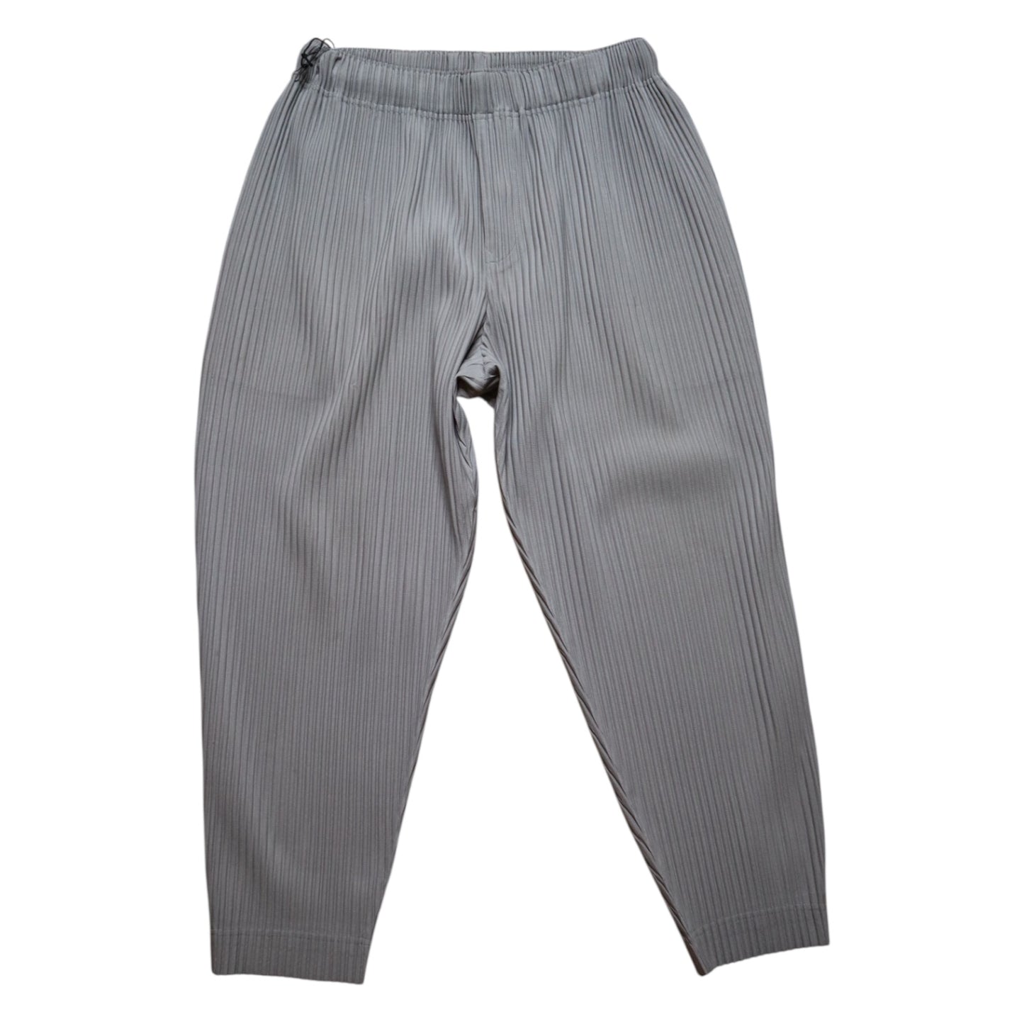 Issey Miyake Pleated Grey Pants