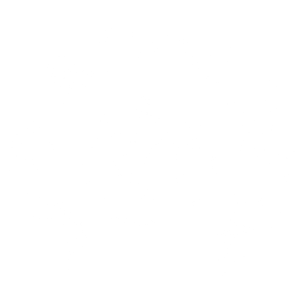 Red Rose Hype Shop